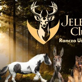 Ranczo Uśmiechowo - animaloterapia, hipoterapia, natura, mini zoo, wycieczki i imprezy