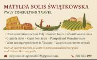 Italy Consulting Travel 