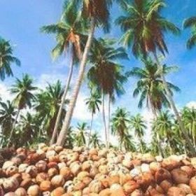Zwiedzaj, relaksuj się i odkrywaj na wyprawie do Tajlandii i wyspy Ko Samui!